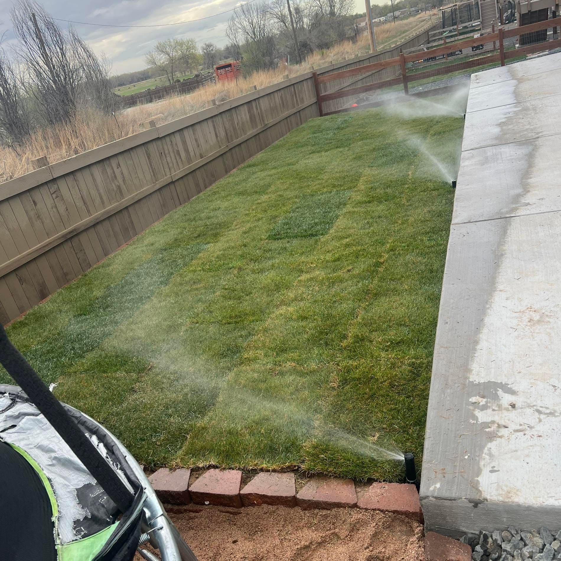 Sprinkler system watering a fresh sod lawn with visible spray arcs