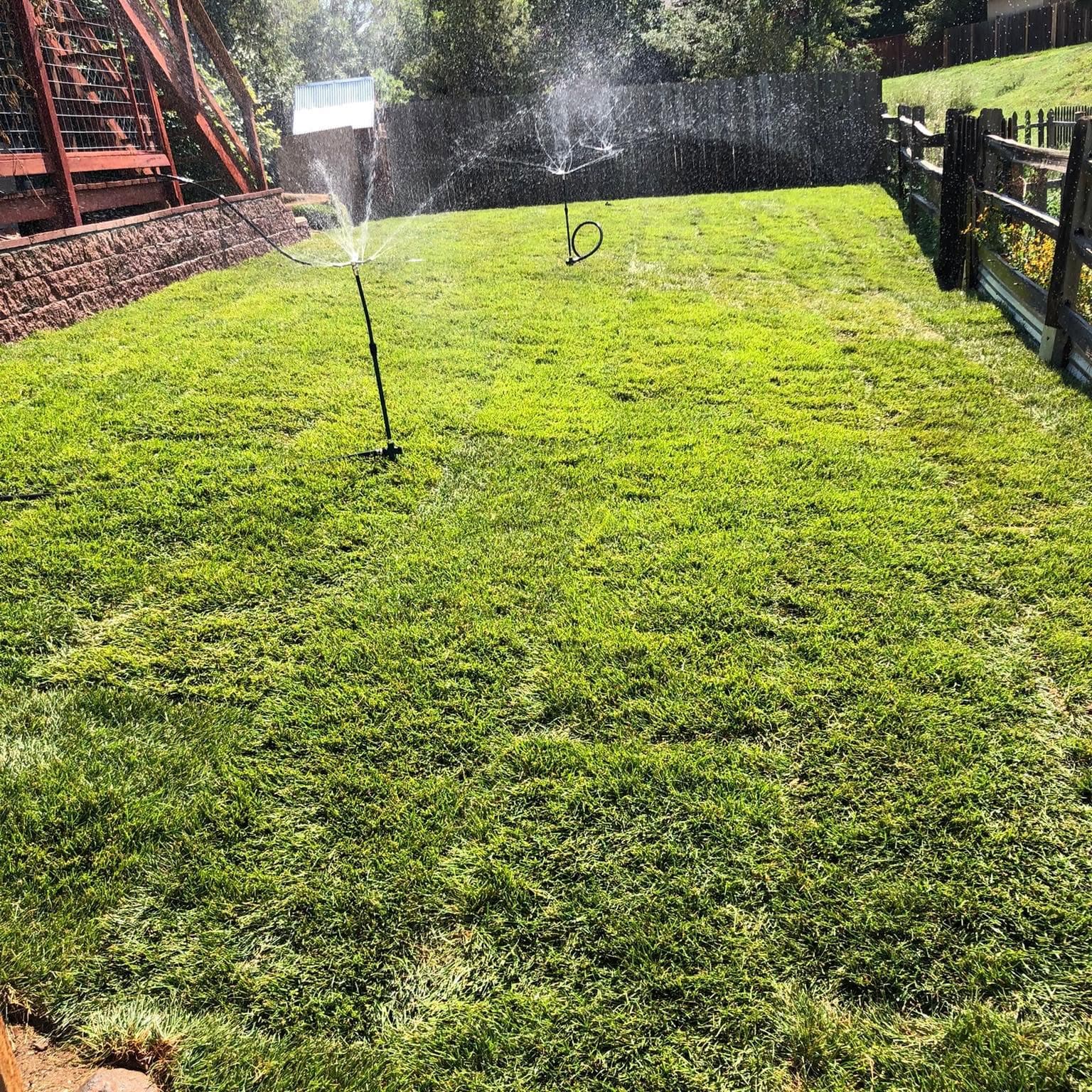 Installed sprinkler system watering a healthy, dense turf lawn