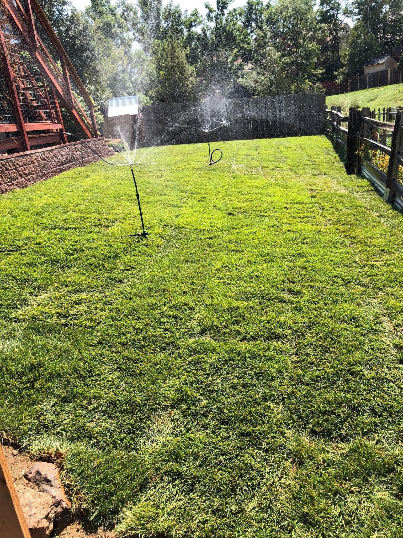 Single sprinkler head spraying water across a manicured lawn