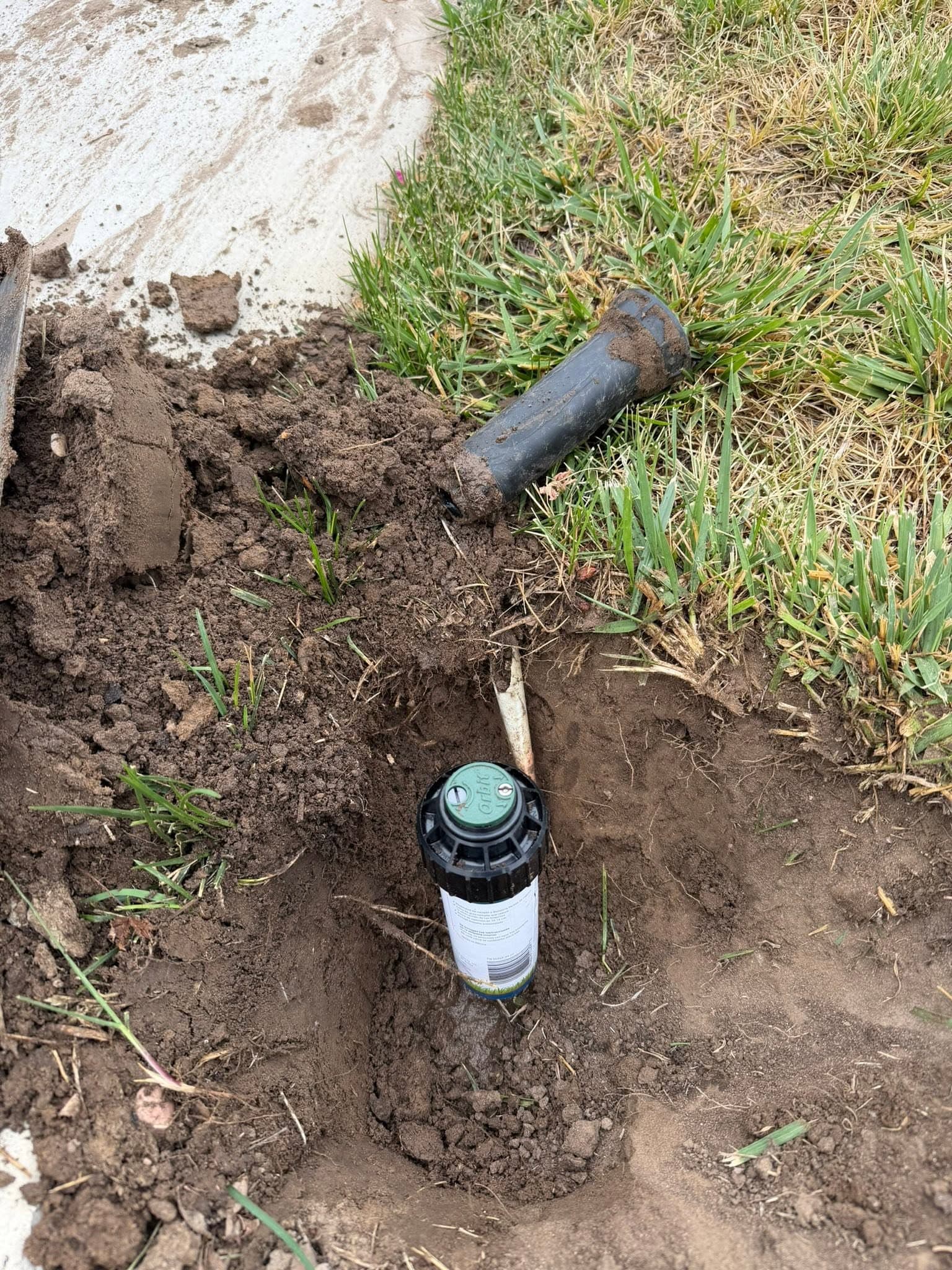 Buried irrigation line with access valve cap in a lawn